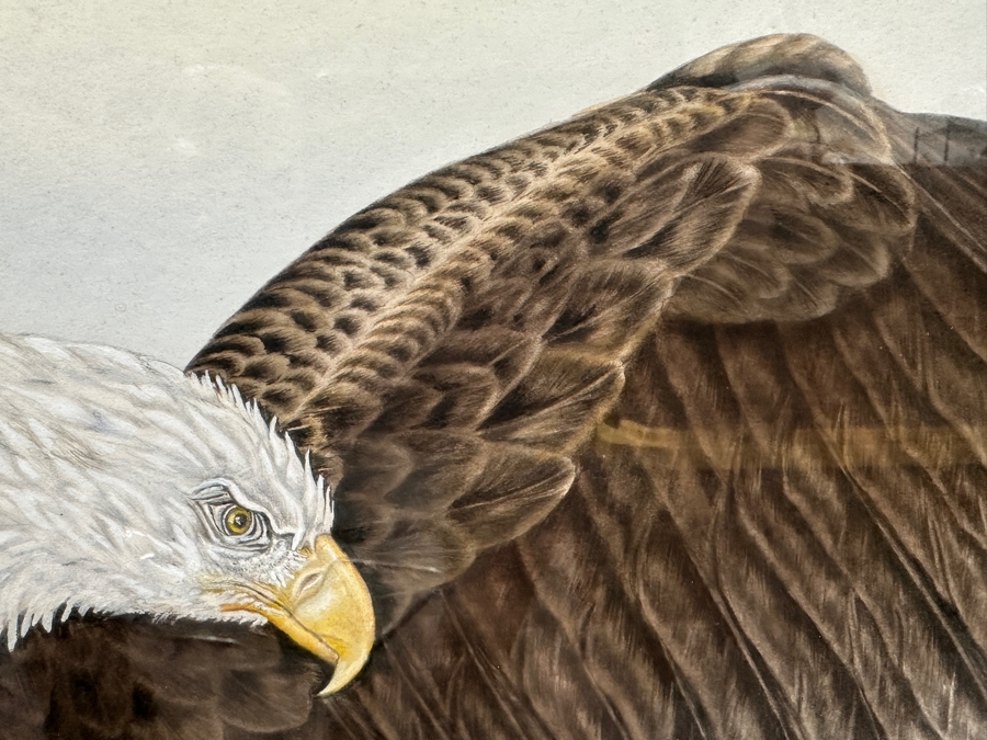 Just Added - J. P. Capella Original Watercolor Painting Of A Bald Eagle & Rainbow Trout Signed Lower Right Capella 33.5 X 27.5 Framed 41 X 35.5 [Photo 5]