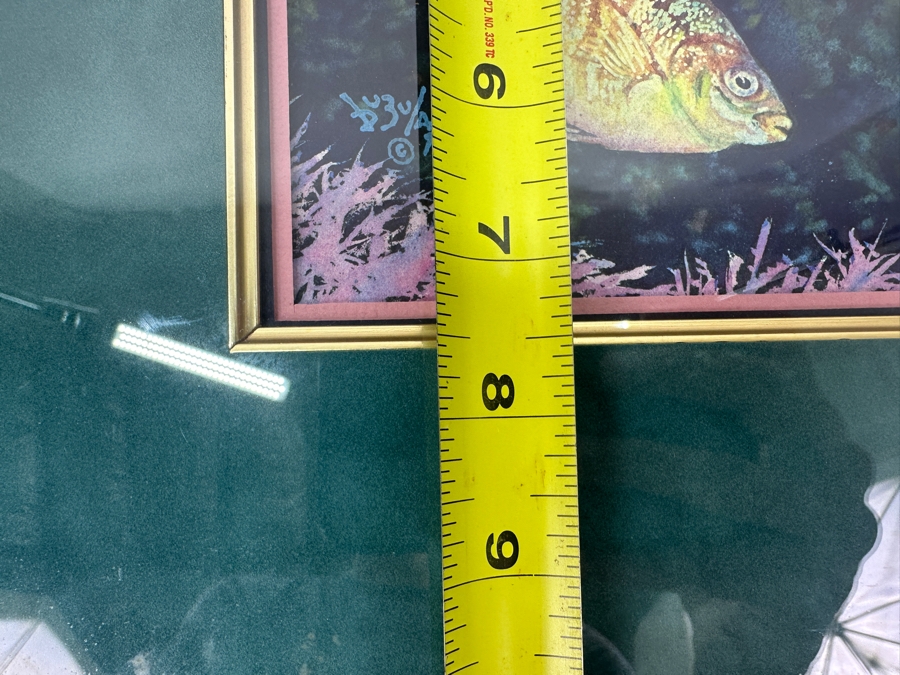 Just Added - Tom Buzulak Original Watercolor Fish Painting Signed Lower Left 5.5 X 7.5 Framed 14 X 16 [Photo 11]