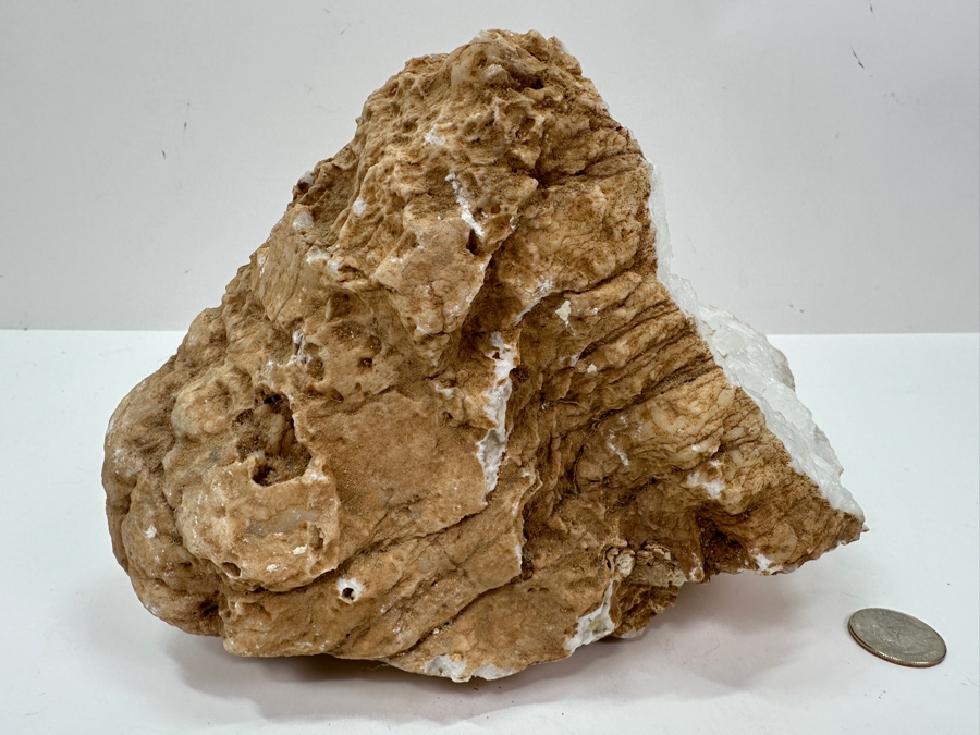 Just Added - Quartz Geode Crystal 7W X 6H [Photo 7]