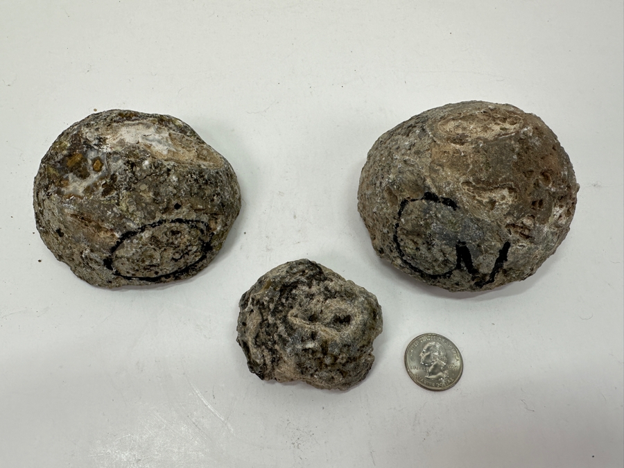 Just Added - (3) Geode Halves [Photo 8]