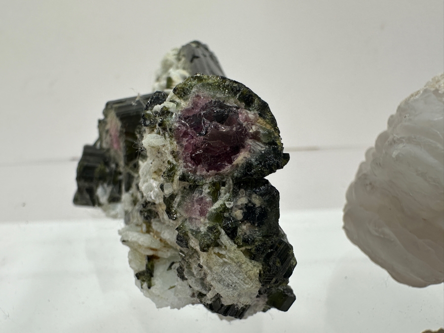 Just Added - Watermelon Tourmaline Specimen, Copper Organic Sculpture, Petrified Wood & More [Photo 5]