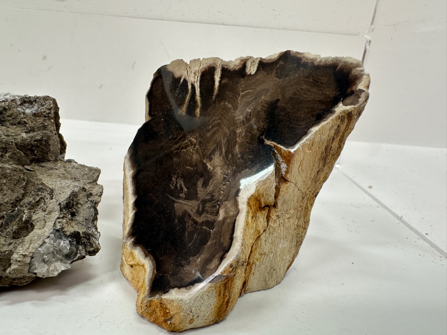 Just Added - Watermelon Tourmaline Specimen, Copper Organic Sculpture, Petrified Wood & More [Photo 7]