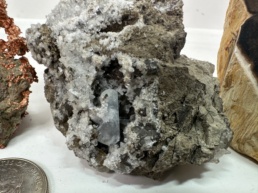 Just Added - Watermelon Tourmaline Specimen, Copper Organic Sculpture, Petrified Wood & More [Photo 10]