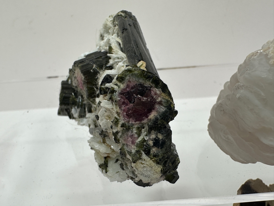 Just Added - Watermelon Tourmaline Specimen, Copper Organic Sculpture, Petrified Wood & More [Photo 6]
