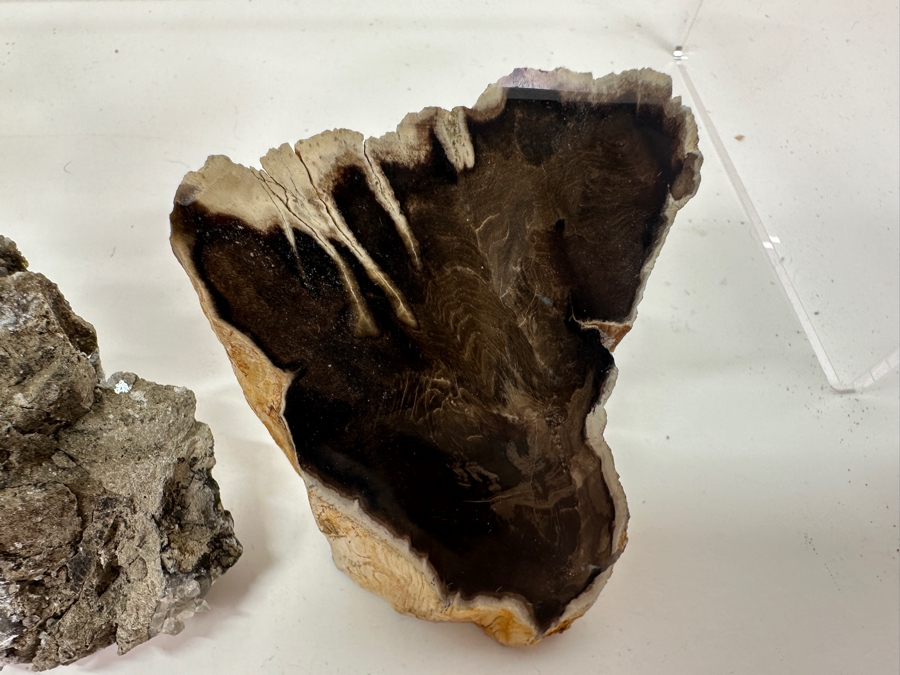 Just Added - Watermelon Tourmaline Specimen, Copper Organic Sculpture, Petrified Wood & More [Photo 11]