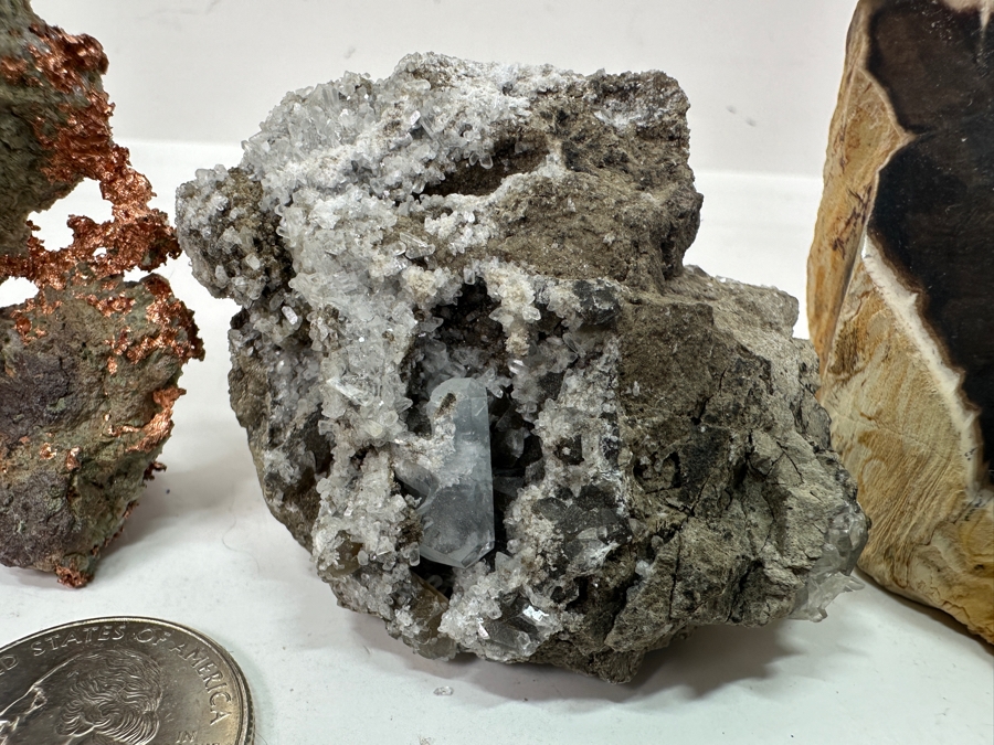Just Added - Watermelon Tourmaline Specimen, Copper Organic Sculpture, Petrified Wood & More [Photo 9]