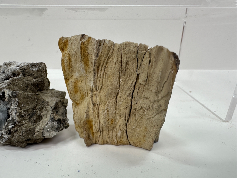 Just Added - Watermelon Tourmaline Specimen, Copper Organic Sculpture, Petrified Wood & More [Photo 12]