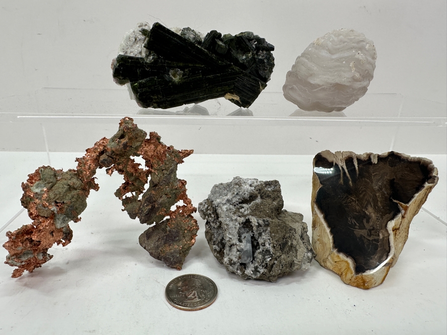 Just Added - Watermelon Tourmaline Specimen, Copper Organic Sculpture, Petrified Wood & More [Photo 4]