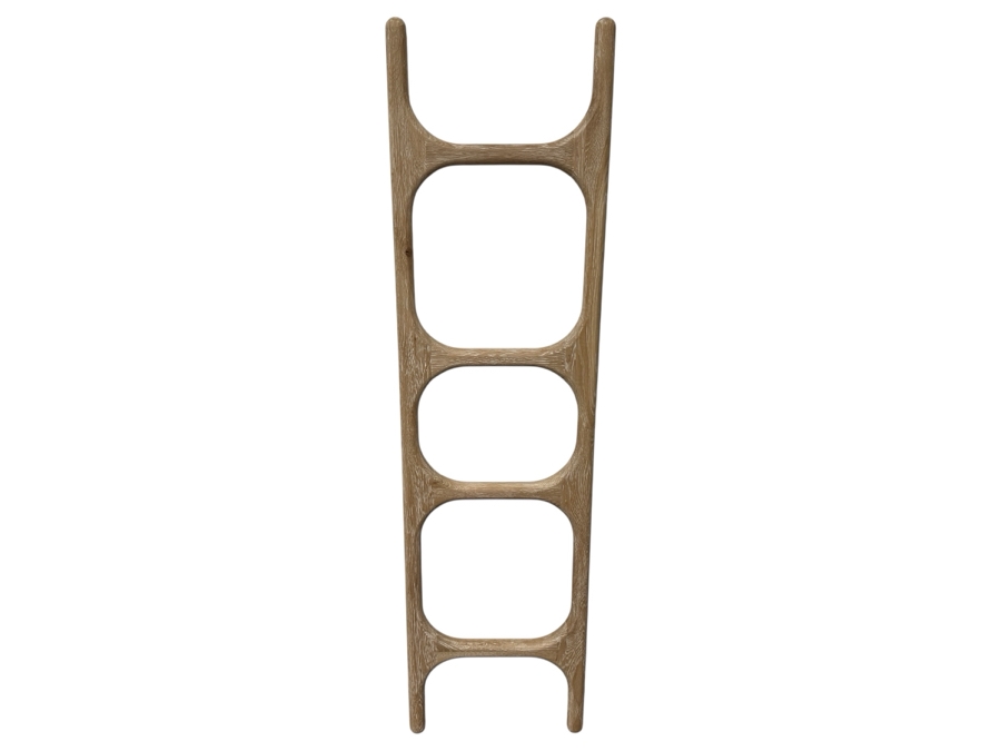 New Farai Decorative Ladder By Anthropologie Retails $228
