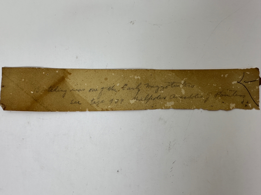 Just Added - Antique 1677 Mezzotint Portrait Print Of Louise-Renee De Keroualle, Duchess of Portsmouth; After Sir Peter Lely - Print Made By Abraham Blooteling 5.5 X 7.5 [Photo 16]