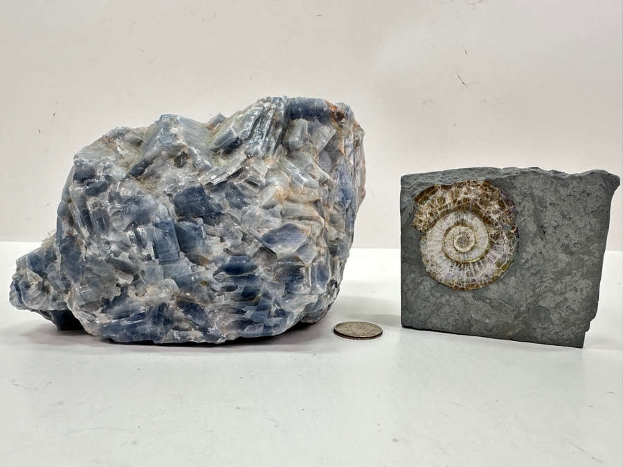 Just Added - Blue Calcite Crystal Cluster 7W X 4.5H & Ammonite Fossil Embedded Within A Rock Matrix [Photo 2]
