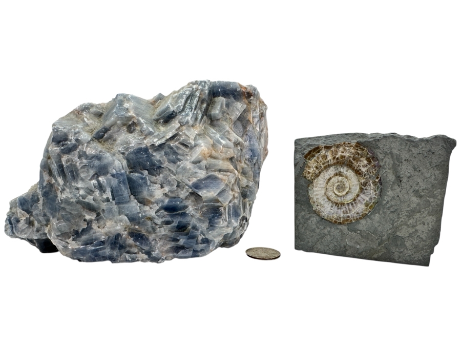 Just Added - Blue Calcite Crystal Cluster 7W X 4.5H & Ammonite Fossil Embedded Within A Rock Matrix