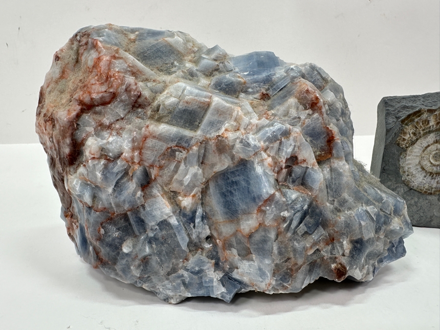 Just Added - Blue Calcite Crystal Cluster 7W X 4.5H & Ammonite Fossil Embedded Within A Rock Matrix [Photo 7]