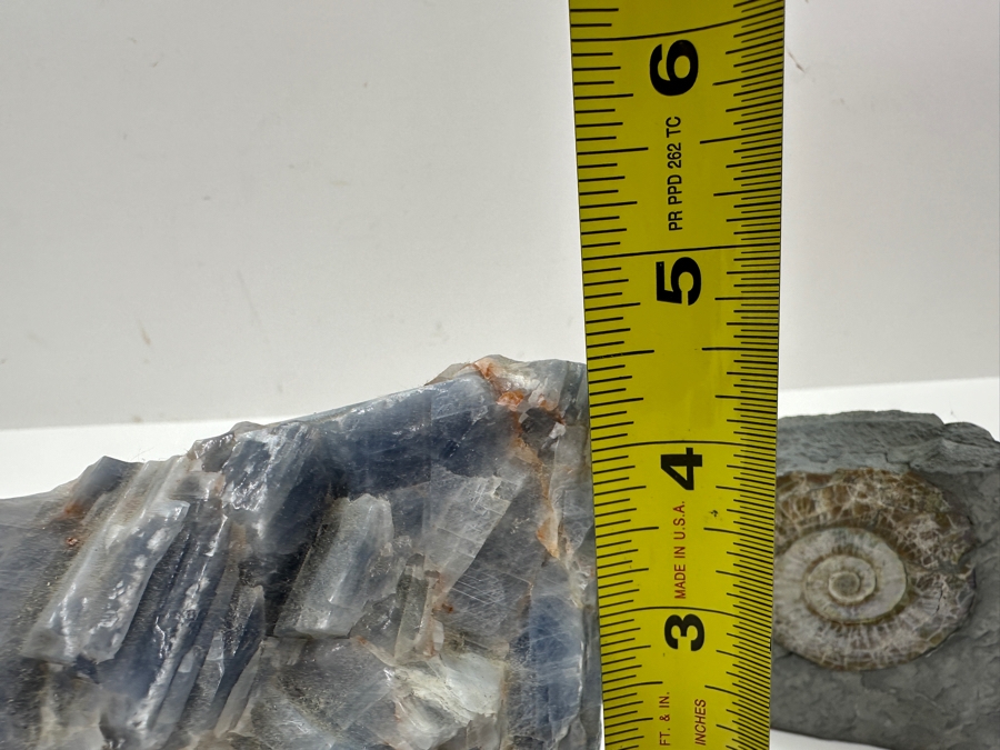 Just Added - Blue Calcite Crystal Cluster 7W X 4.5H & Ammonite Fossil Embedded Within A Rock Matrix [Photo 9]