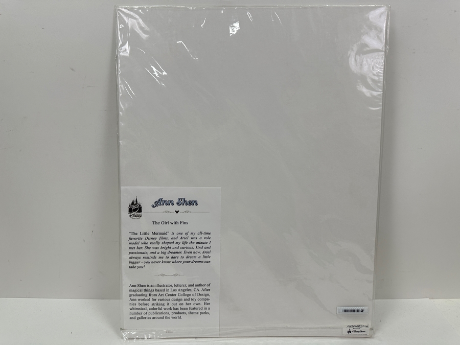 The Art Of Disney Theme Parks Ann Shen Print Titled “The Girl With Fins” The Little Mermaid 9 X 10 [Photo 4]