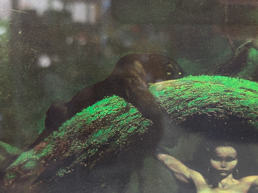 Artist Hand Signed Limited Edition Frank Frazetta Cat Girl Print With Original Illustration Numbered 11 Of 300 17.5 X 25 [Photo 5]