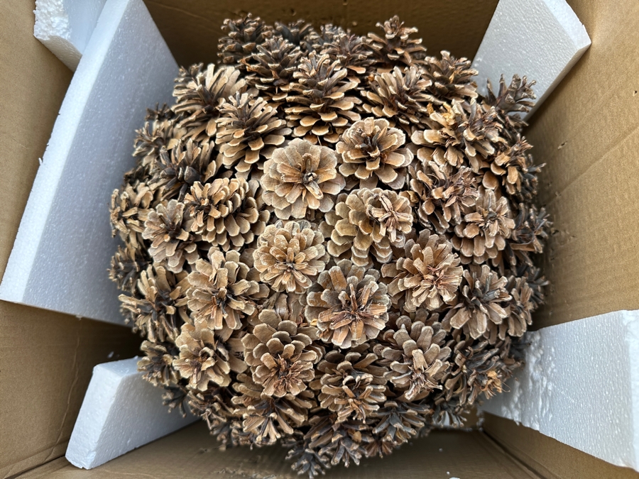 Just Added - Pair Of Frontgate 17' Pinecone Balls With Original Boxes [Photo 4]
