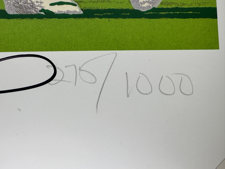 Signed Brett Favre NFL Green Bay Packers Print Titled 'The Green Bay Gun' By Rick A. Rush Numbered 270 Of 1,000 Signed By Brett Favre & Rick Rush 20 X 16 [Photo 7]