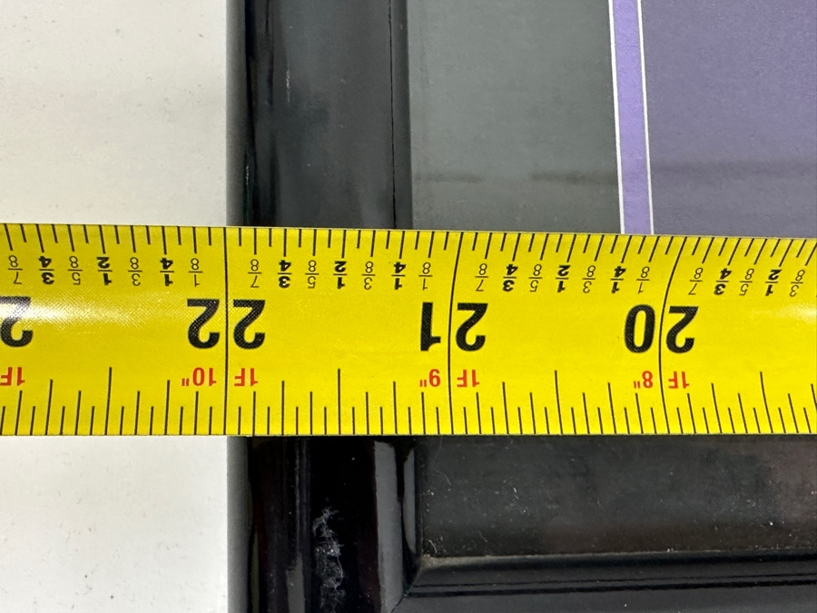 Rare Elizabeth Taylor Autographed Invitation & RSVP Card Designed By Andy Warhol For Her 60th Birthday Party At Disneyland Resort On February 27, 1992 8PM Framed 22 X 15 [Photo 12]