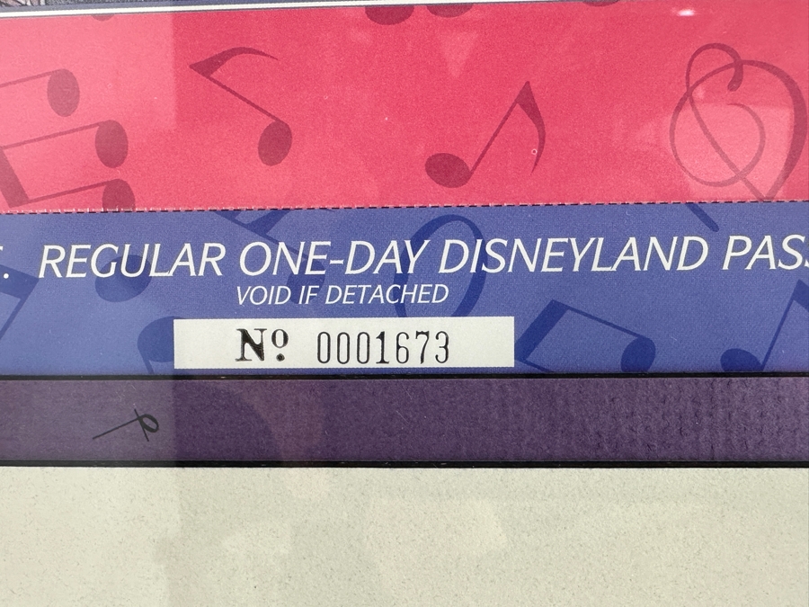 Vintage 1993 Official Special Edition Disneyana Convention Commemorative Passport Disneyland Framed September 16-19, 1993 16' X 13.5' [Photo 9]