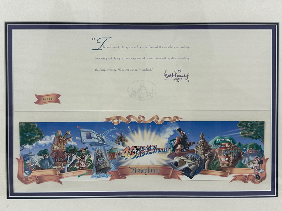 Disneyland '40 Years Of Adventure' Special Limited Edition One-Day Passport 15 X 10 Framed 21 X 16