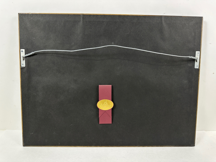 Disneyland '40 Years Of Adventure' Special Limited Edition One-Day Passport 15 X 10 Framed 21 X 16 [Photo 9]