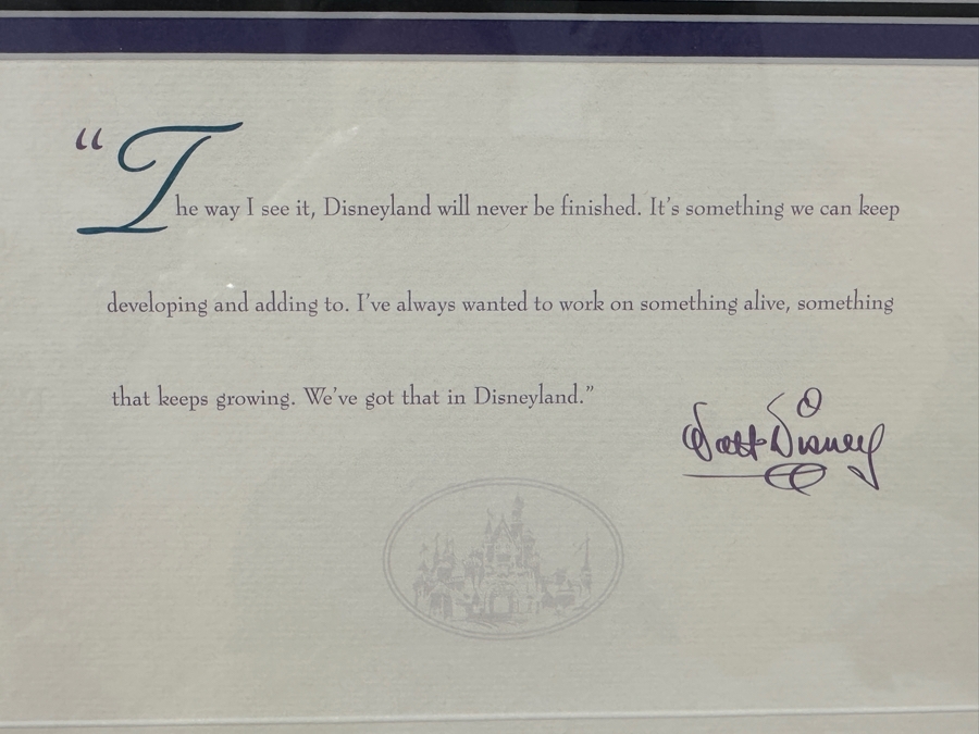 Disneyland '40 Years Of Adventure' Special Limited Edition One-Day Passport 15 X 10 Framed 21 X 16 [Photo 6]