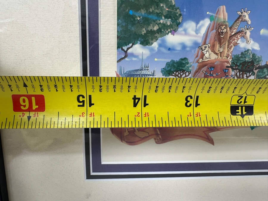 Disneyland '40 Years Of Adventure' Special Limited Edition One-Day Passport 15 X 10 Framed 21 X 16 [Photo 11]