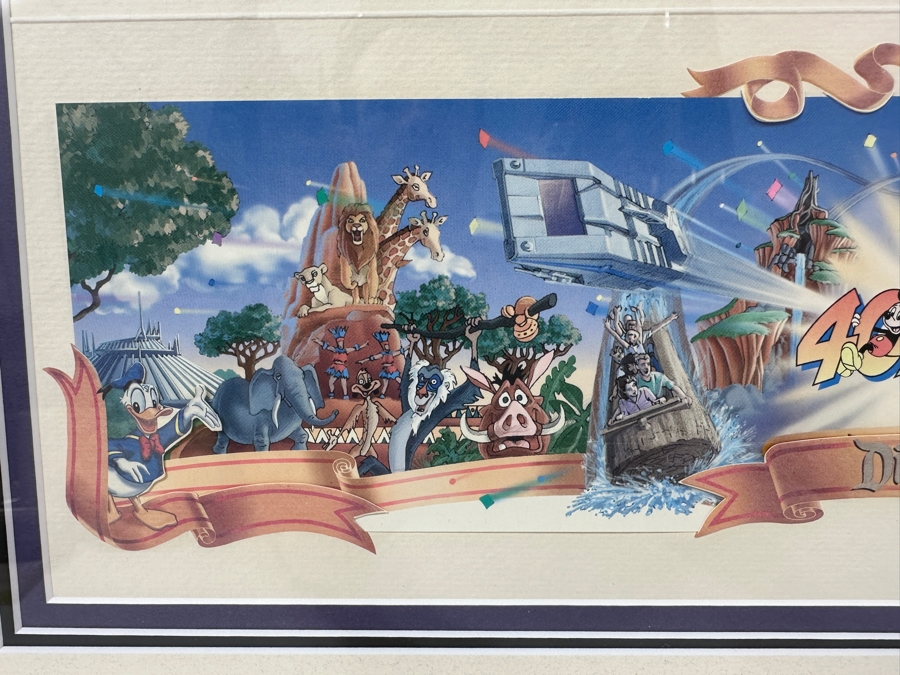 Disneyland '40 Years Of Adventure' Special Limited Edition One-Day Passport 15 X 10 Framed 21 X 16 [Photo 8]