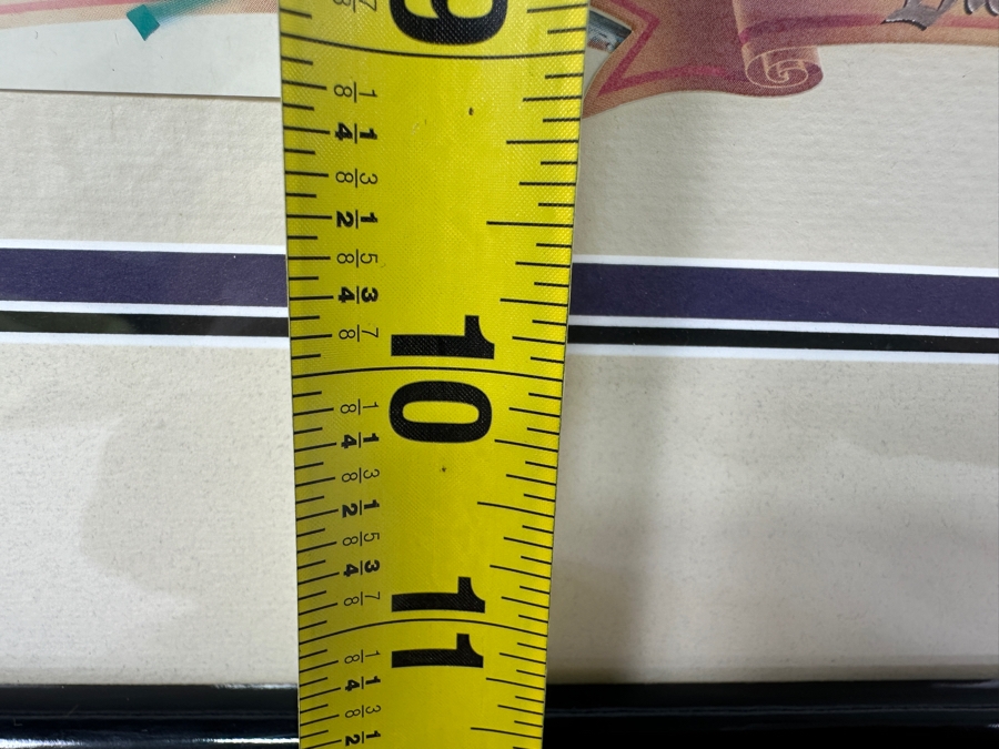 Disneyland '40 Years Of Adventure' Special Limited Edition One-Day Passport 15 X 10 Framed 21 X 16 [Photo 12]