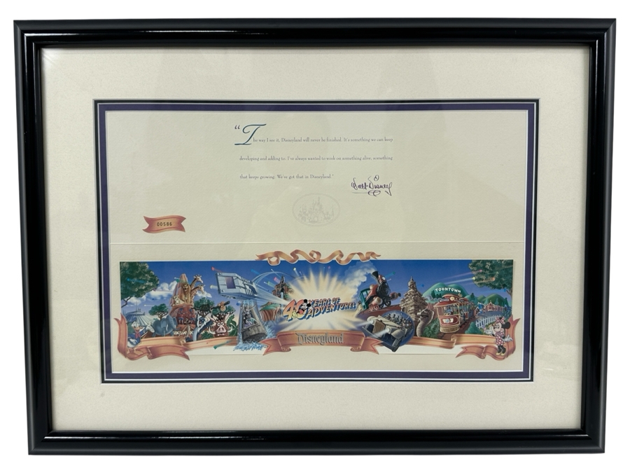Disneyland '40 Years Of Adventure' Special Limited Edition One-Day Passport 15 X 10 Framed 21 X 16 [Photo 2]