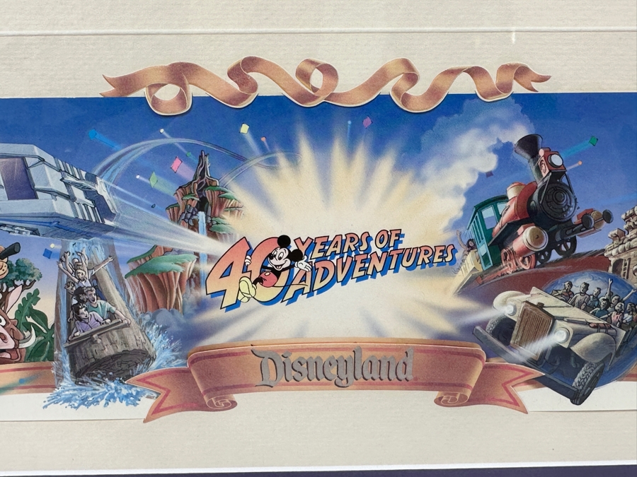 Disneyland '40 Years Of Adventure' Special Limited Edition One-Day Passport 15 X 10 Framed 21 X 16 [Photo 3]
