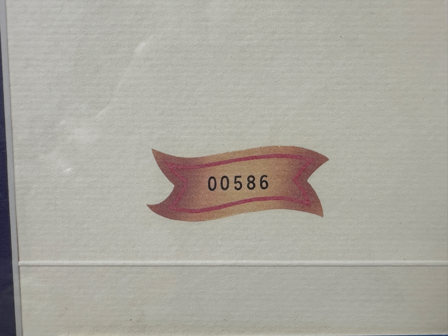 Disneyland '40 Years Of Adventure' Special Limited Edition One-Day Passport 15 X 10 Framed 21 X 16 [Photo 7]