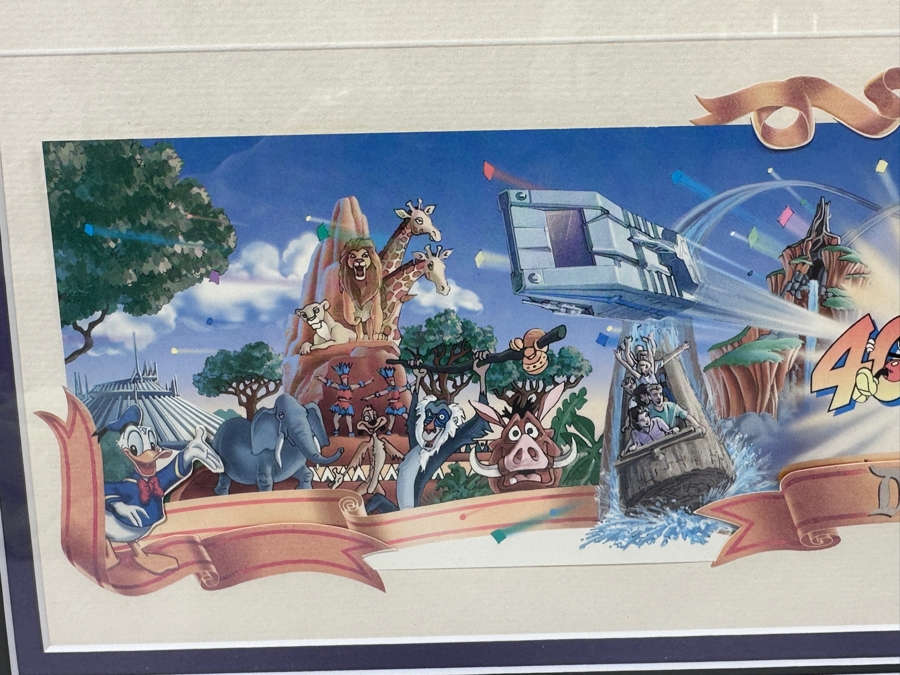 Disneyland '40 Years Of Adventure' Special Limited Edition One-Day Passport 15 X 10 Framed 21 X 16 [Photo 4]
