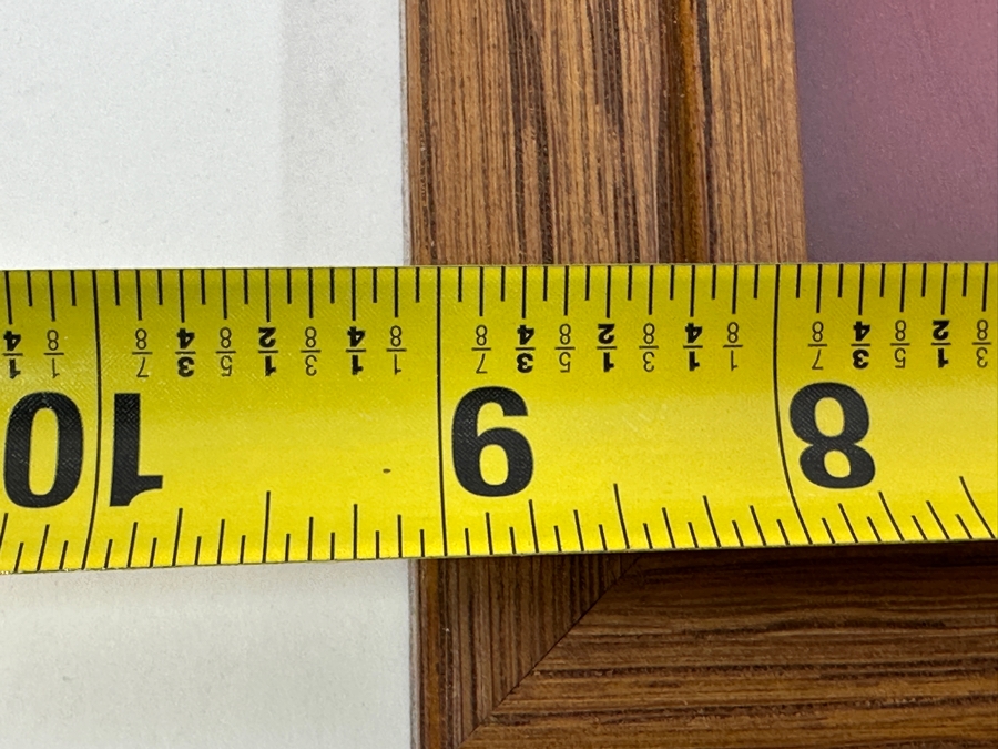 Vintage Disneyland Trading Pins: Frontier Land, Fantasy Land, Tomorrow Land, Main Street U.S.A., Bear Country, New Orleans Square, Adventure Land & Disneyland Framed 9 X 7 [Photo 15]