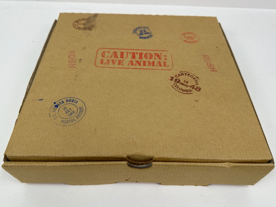 New In Original Box Indiana Jones Adventure Disneyland 1995 Snake That Turns Into A Shirt Adult XL Plus Indiana Jones Adventure Disneyland 1995 Souvenir Paperweight Plaque [Photo 11]