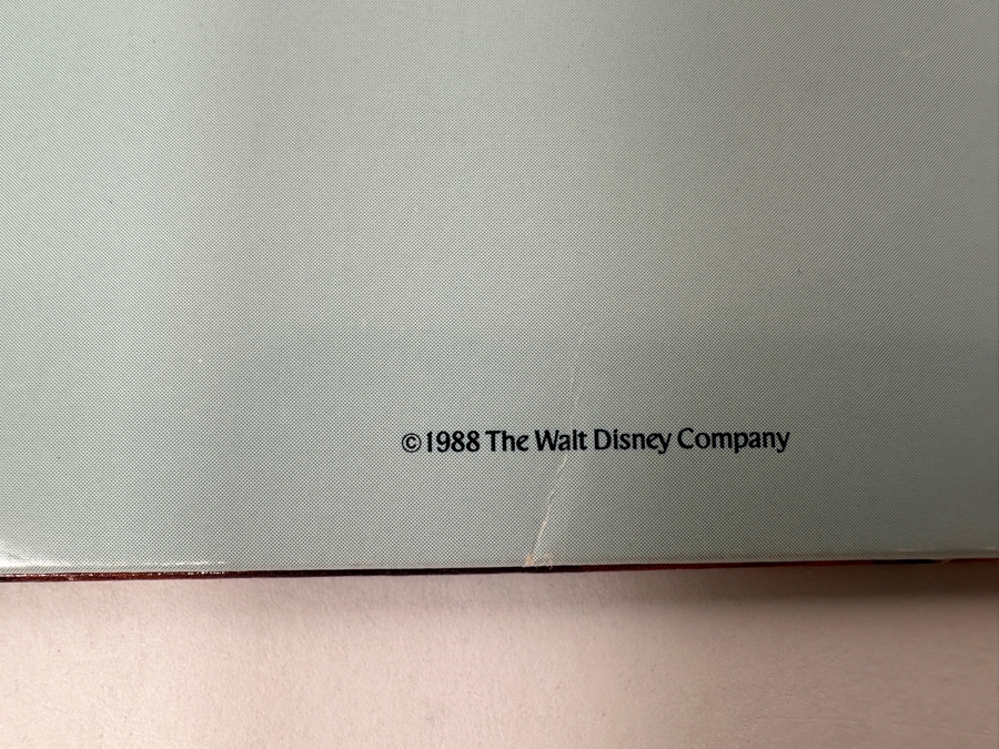 Vintage 1988 Splash Mountain Disneyland Ride Attraction Media Press Kit (Closed Ride In 2023) [Photo 4]