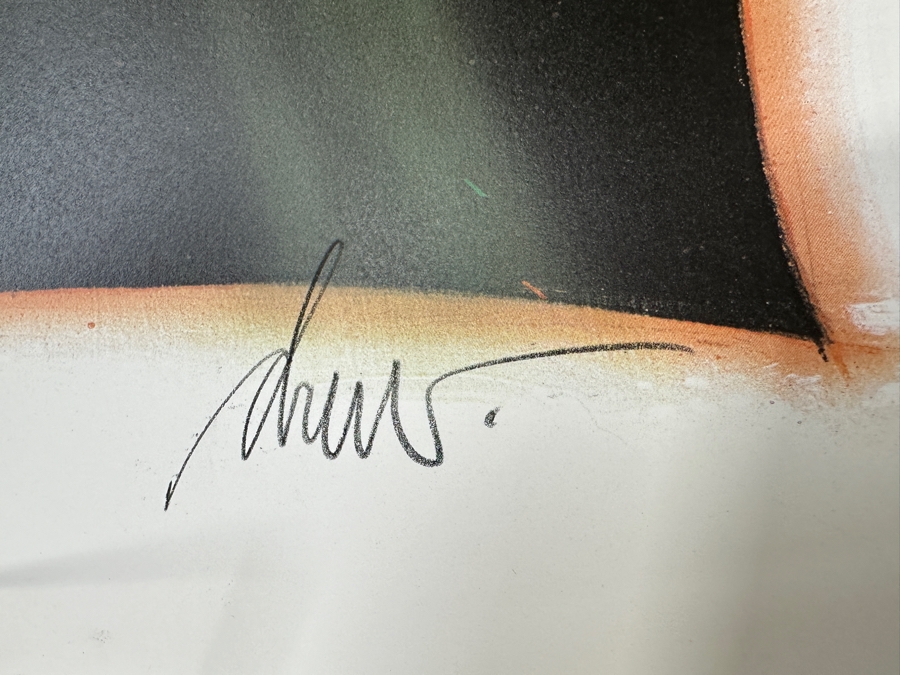 Rare Vintage 1995 Indiana Jones Adventure Disneyland Lithograph Signed By Michael Eisner & Artist Drew Struzen W/ COA Limited Edition Numbered 9 Of 500 25.5 X 38 [Photo 9]