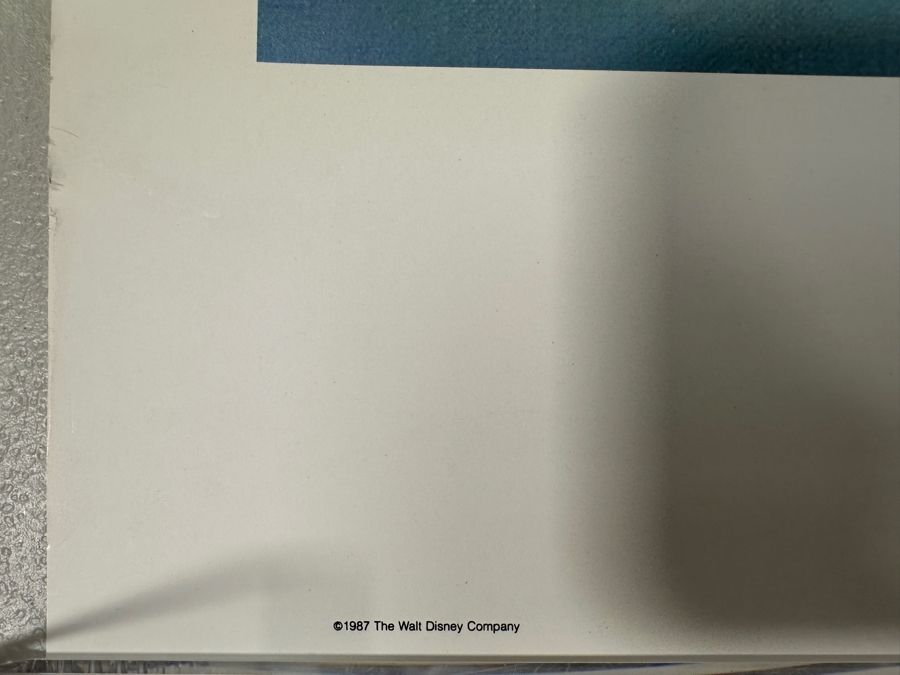 Jim Noble Walt Disney World Vacation Kingdown Limited Edition Artist Signed Lithograph 'Magical Dreams' Numbered 1,696 Of 5,000 With COA 22 X 28 [Photo 8]