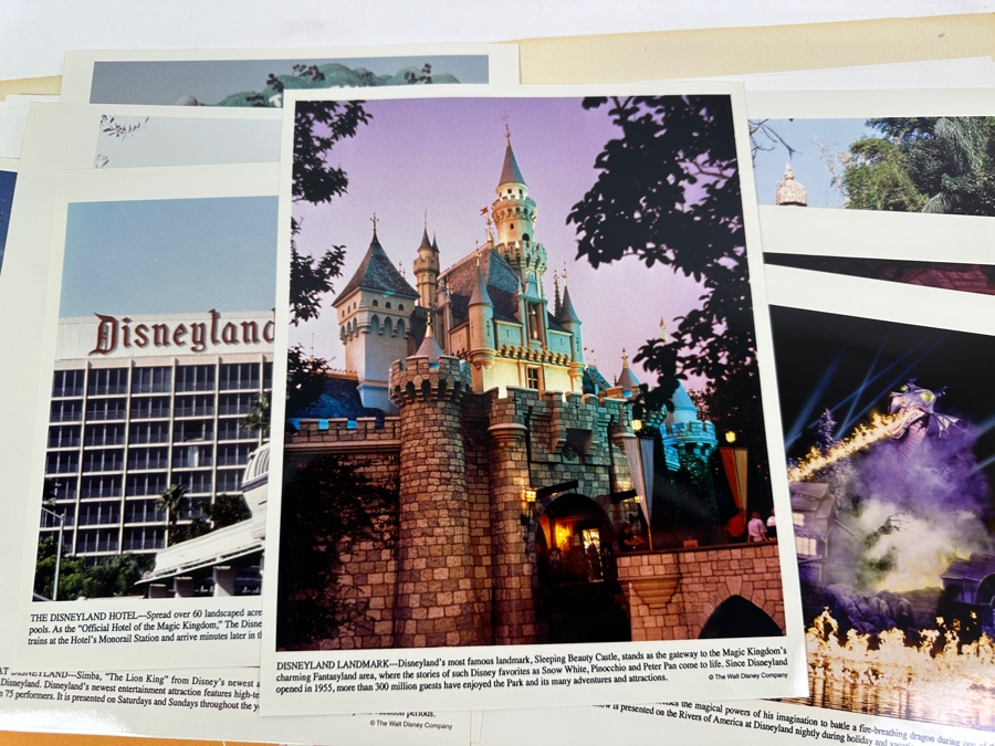 Vintage 1994 Disneyland The Lion King Celebration / Indiana Jones Adventure Press Media Kit [Photo 11]