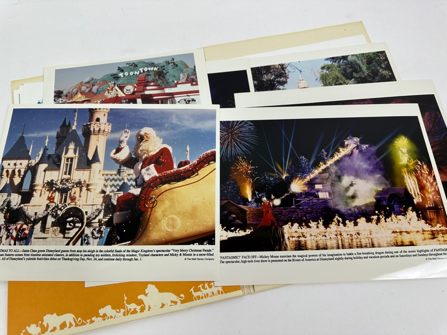 Vintage 1994 Disneyland The Lion King Celebration / Indiana Jones Adventure Press Media Kit [Photo 9]