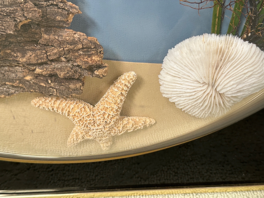 Vintage Retro 1970s 3D Dome Underwater Scene Featuring A Blowfish Pufferfish Framed 29W X 29H [Photo 5]