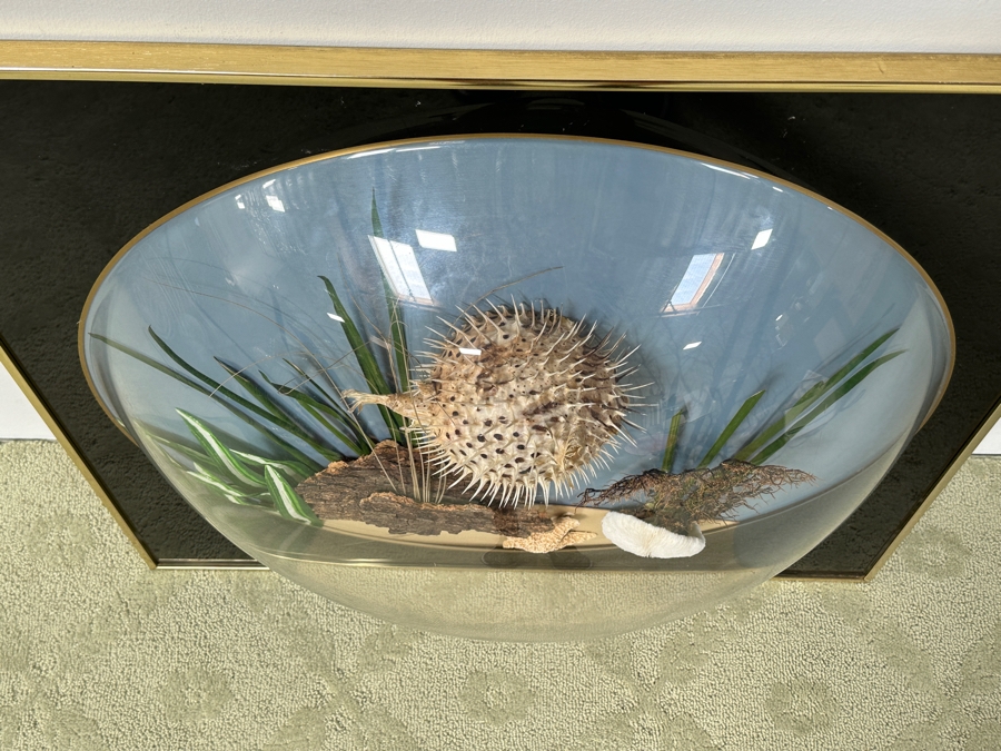 Vintage Retro 1970s 3D Dome Underwater Scene Featuring A Blowfish Pufferfish Framed 29W X 29H [Photo 7]