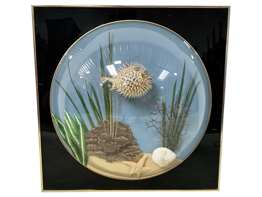 Vintage Retro 1970s 3D Dome Underwater Scene Featuring A Blowfish Pufferfish Framed 29W X 29H