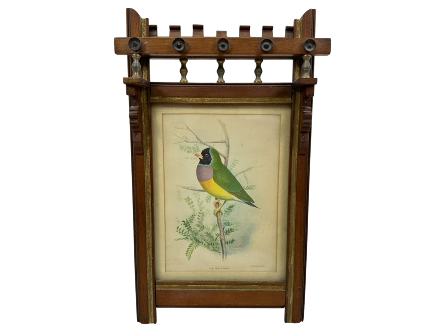 Antique Eastlake Picture Frame with Gouldian Finch Bird Print 8'x14'