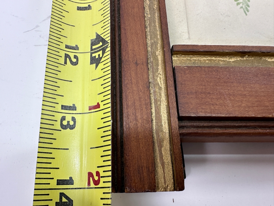 Antique Eastlake Picture Frame with Gouldian Finch Bird Print 8'x14' [Photo 10]