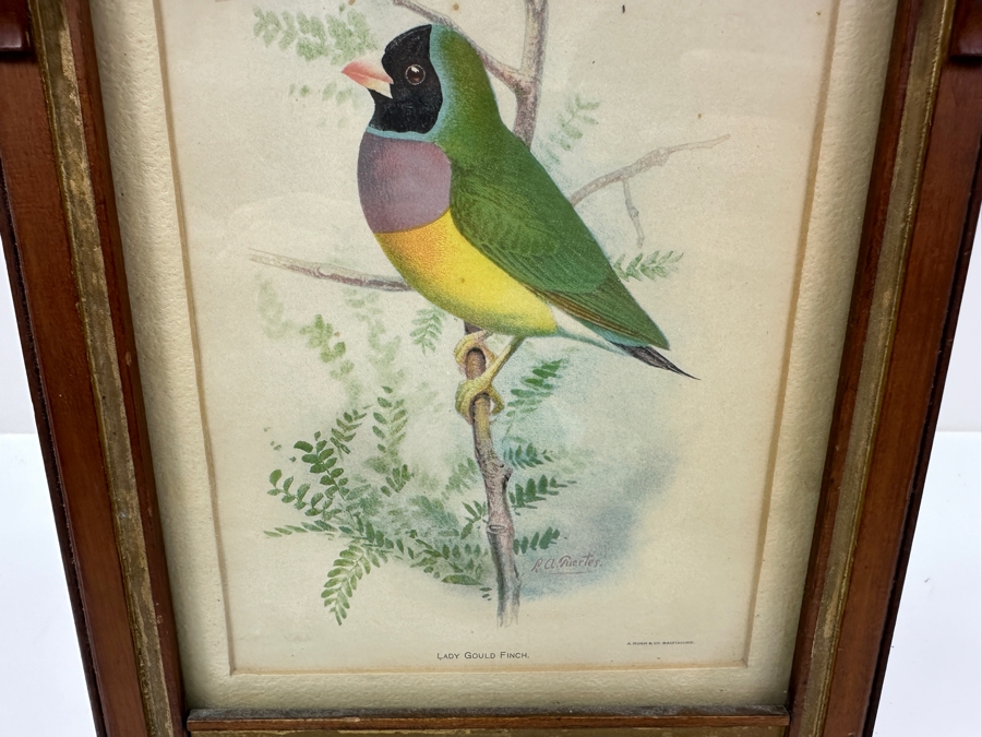 Antique Eastlake Picture Frame with Gouldian Finch Bird Print 8'x14' [Photo 5]
