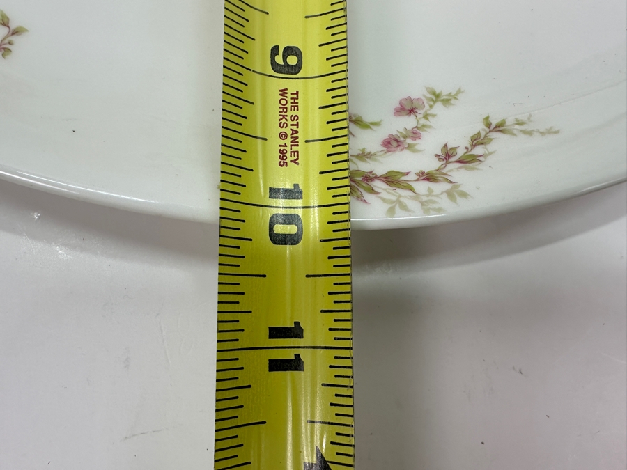 Haviland & Co Limoges Platter 14'W x 10' D and (3) Haviland & Co Limoges 10' Plates [Photo 7]