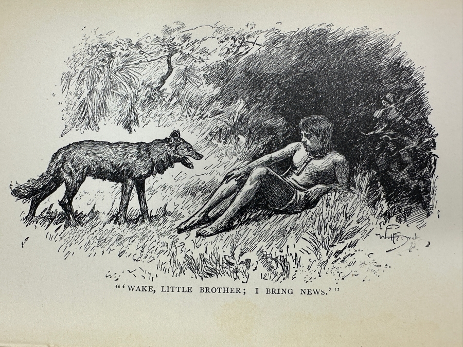 (15) Antique 1899 Hardcover Books: The Works Of Rudyard Kipling Including The Jungle Book New York Doubleday & McClure Company [Photo 9]