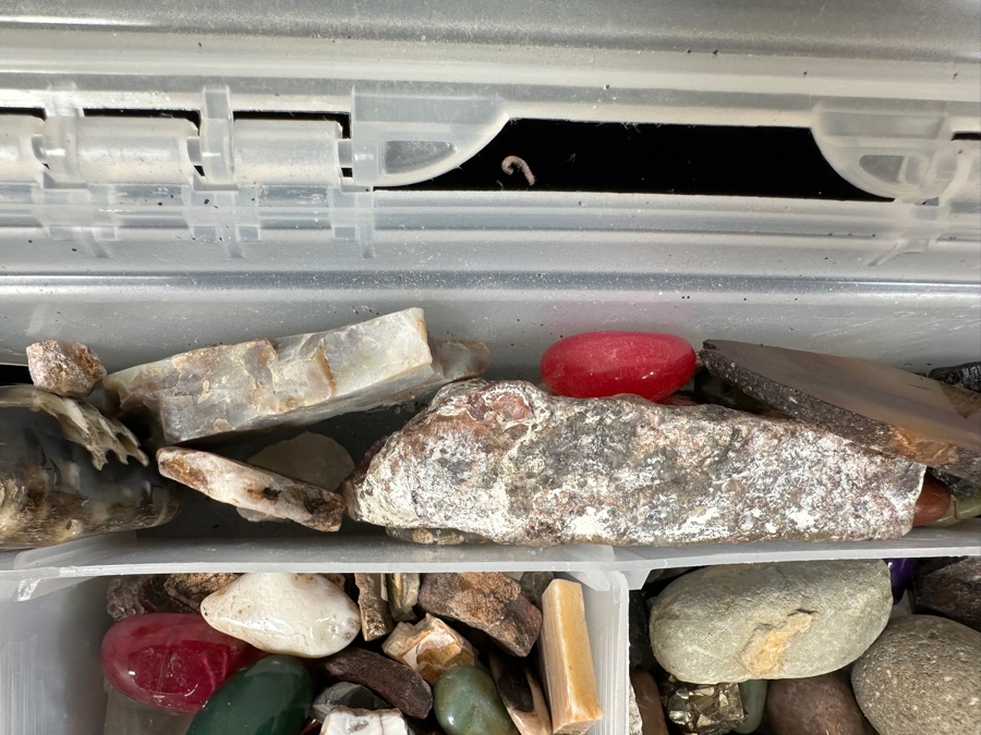 Just Added - Rock Collection Lot #1 - See Photos [Photo 9]